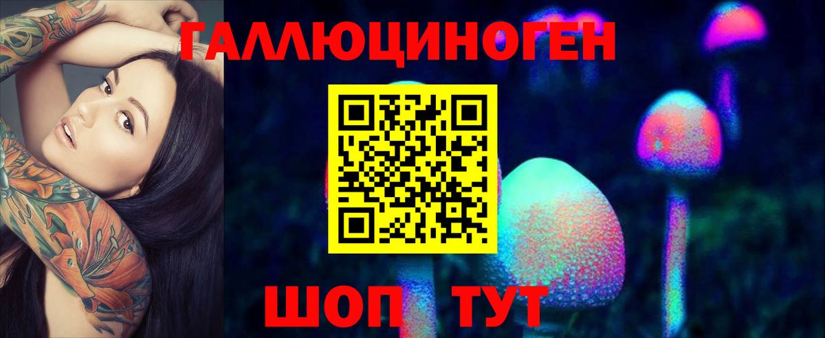 Псилоцибиновые грибы Psilocybine cubensis  Вход с VPN  сколько стоит  Шадринск 